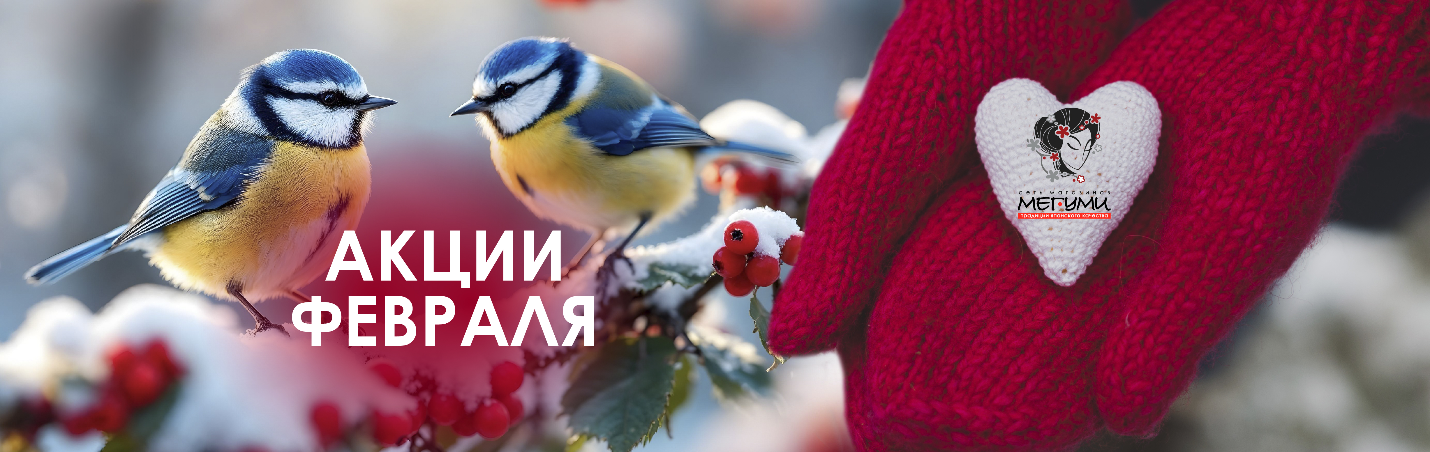 Акции февраля!