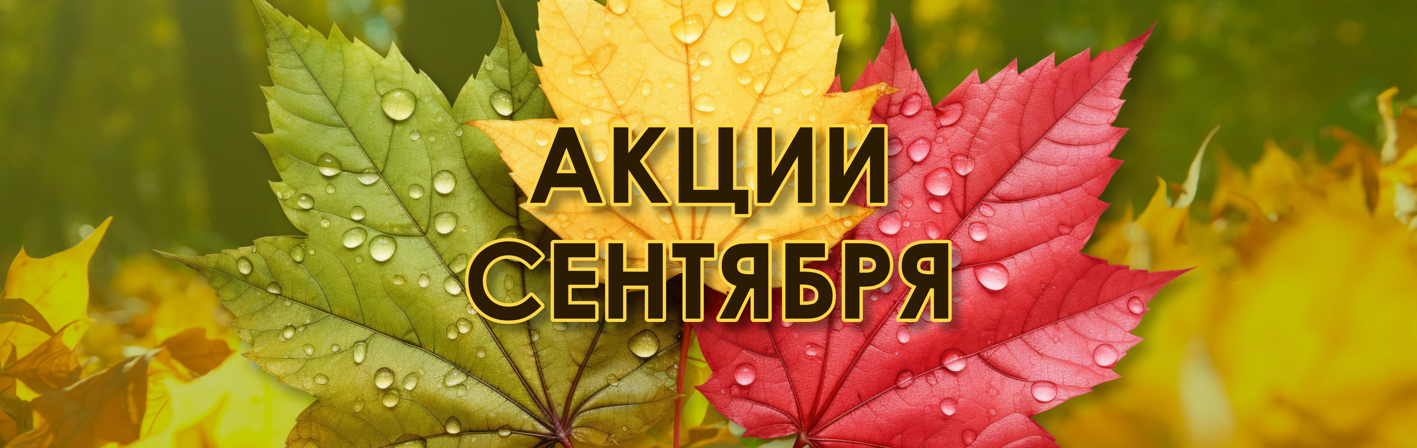 Акции СЕНТЯБРЯ!